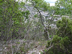 DSCN3447.jpg DSCN3447.jpg