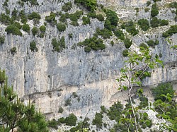 DSCN3449.jpg DSCN3449.jpg