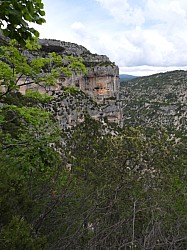 DSCN3450.jpg DSCN3450.jpg