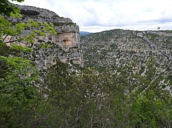 DSCN3451.jpg DSCN3451.jpg