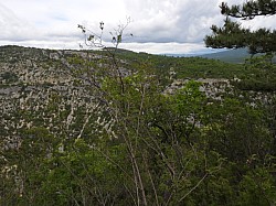 DSCN3452.jpg DSCN3452.jpg