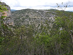 DSCN3453.jpg DSCN3453.jpg