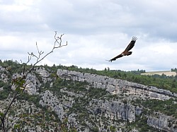 DSCN3456.jpg DSCN3456.jpg