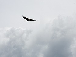 DSCN3459.jpg DSCN3459.jpg