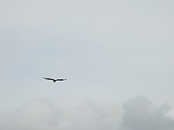 DSCN3461.jpg DSCN3461.jpg