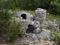 DSCN3462.jpg DSCN3462.jpg