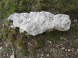 DSCN3463.jpg DSCN3463.jpg