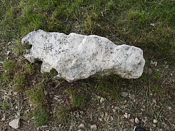 DSCN3464.jpg DSCN3464.jpg