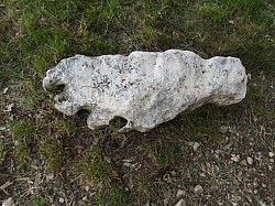 DSCN3465.jpg DSCN3465.jpg