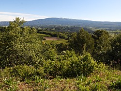 DSCN3337.jpg DSCN3337.jpg