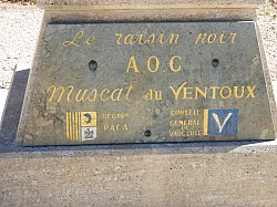 DSCN3338.jpg DSCN3338.jpg