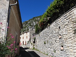 DSCN3341.jpg DSCN3341.jpg