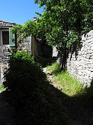 DSCN3347.jpg DSCN3347.jpg