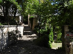 DSCN3351.jpg DSCN3351.jpg