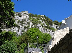 DSCN3353.jpg DSCN3353.jpg