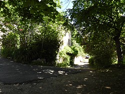 DSCN3354.jpg DSCN3354.jpg