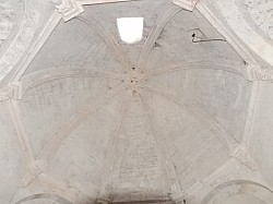 DSCN3365.jpg DSCN3365.jpg