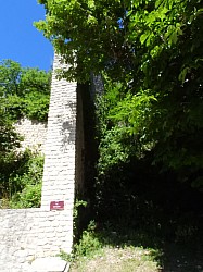 DSCN3380.jpg DSCN3380.jpg