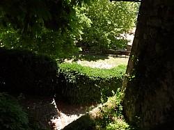 DSCN3381.jpg DSCN3381.jpg