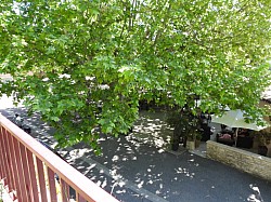 DSCN3382.jpg DSCN3382.jpg