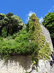 DSCN3384.jpg DSCN3384.jpg