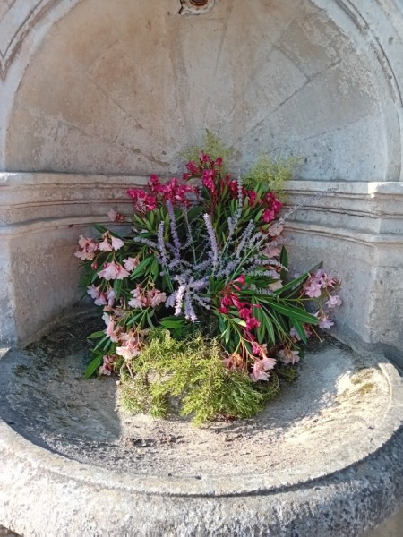 fontaine 2025 10.jpg