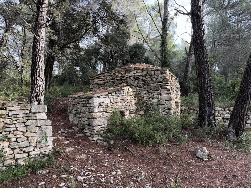 Rando_lac_Paty 2025_06.jpg