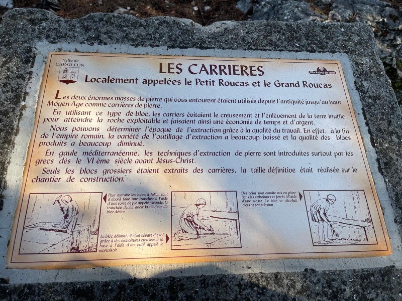 Cavaillon 2025_07.jpg