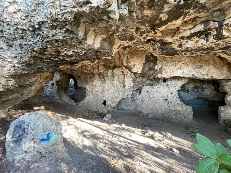 Cavaillon 2025_10.jpg