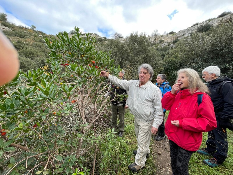 Cavaillon 2025_12.jpg