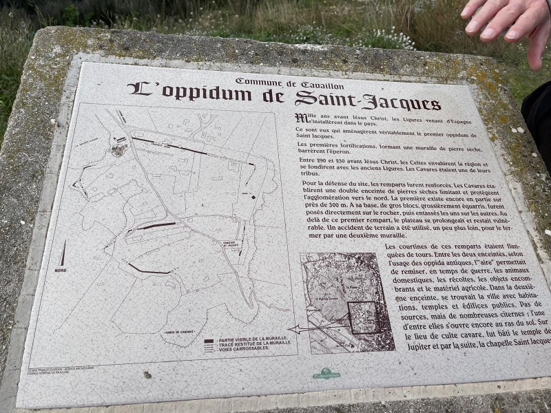 Cavaillon 2025_13.jpg