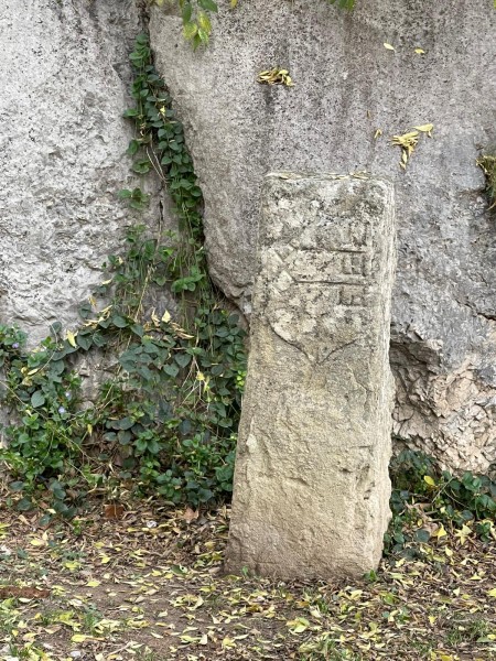 Cavaillon 2025_15.jpg