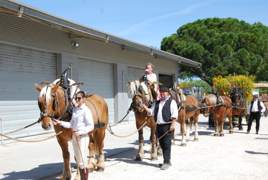 foire_chevaux_2025_08.jpg