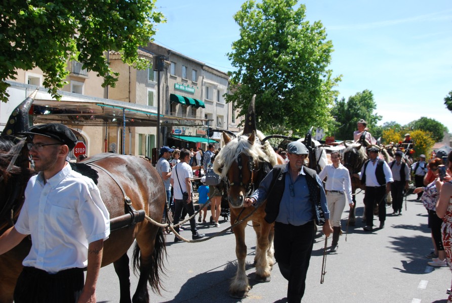foire_chevaux_2025_49.jpg