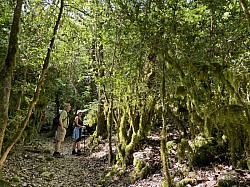 Rando_monieux__09.jpg Rando_monieux__09.jpg