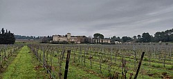 Mourre_Seve_ 2026_10.jpg