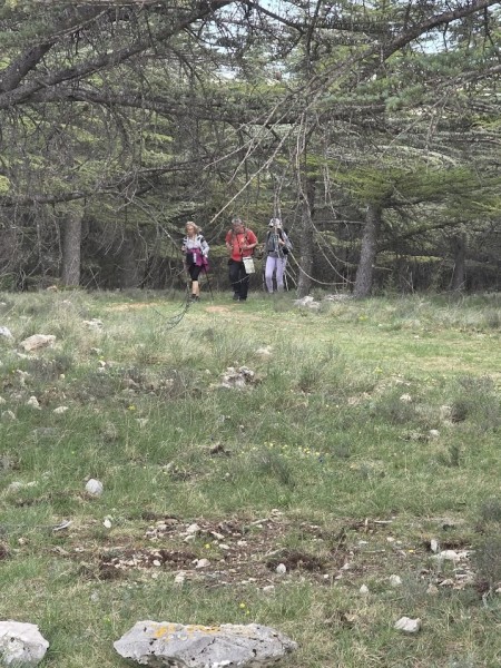 rando mur peste  2026 _04.jpg