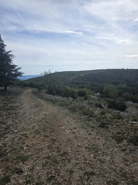 rando mur peste  2026 _06.jpg