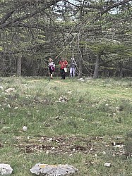 rando mur peste  2026 _04.jpg