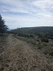rando mur peste  2026 _06.jpg