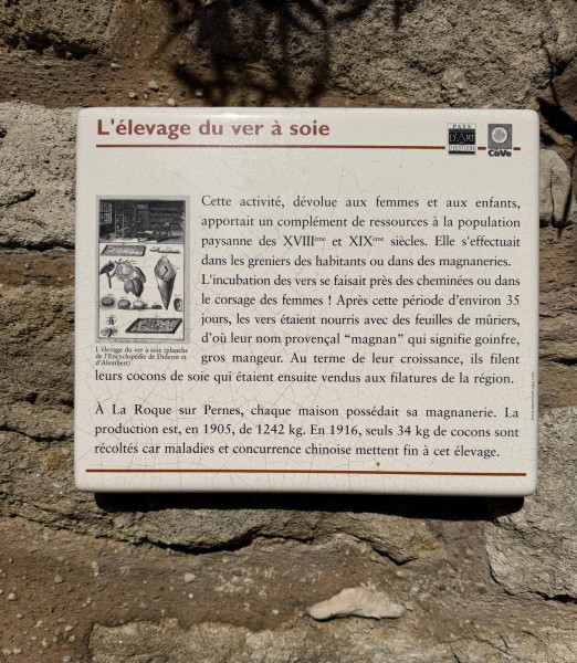 Rando St Didier  2026_05.jpg
