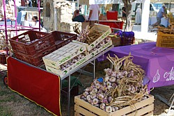 Terroir beda 2026_08.jpg