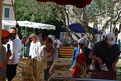 Terroir beda 2026_14.jpg