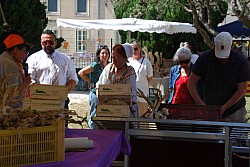 Terroir beda 2026_15.jpg