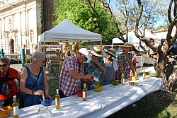 Terroir beda 2026_38.jpg