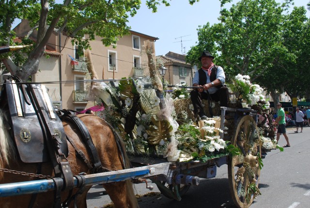 foire chevaux bedarrides 2015__43.jpg