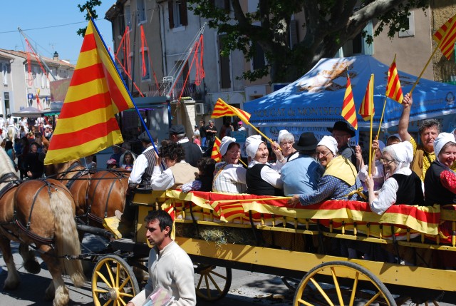 Foire chevaux bedarrides 2016_42.jpg