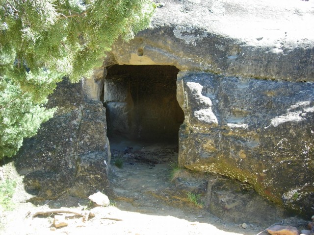DSCN8415.jpg