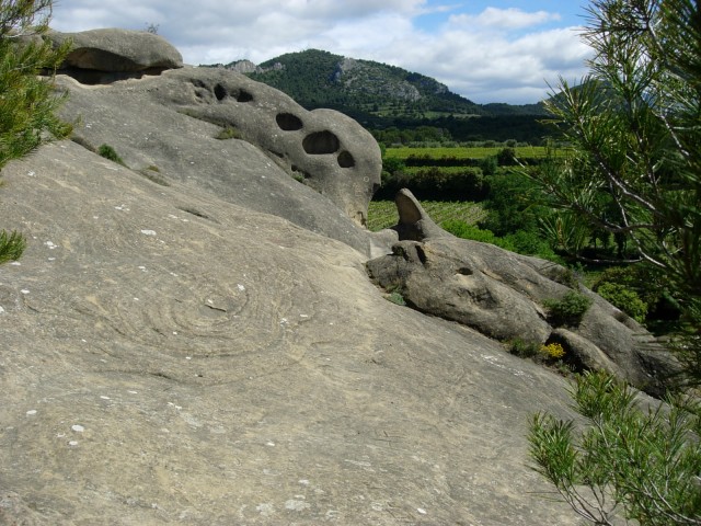 DSCN8417.jpg