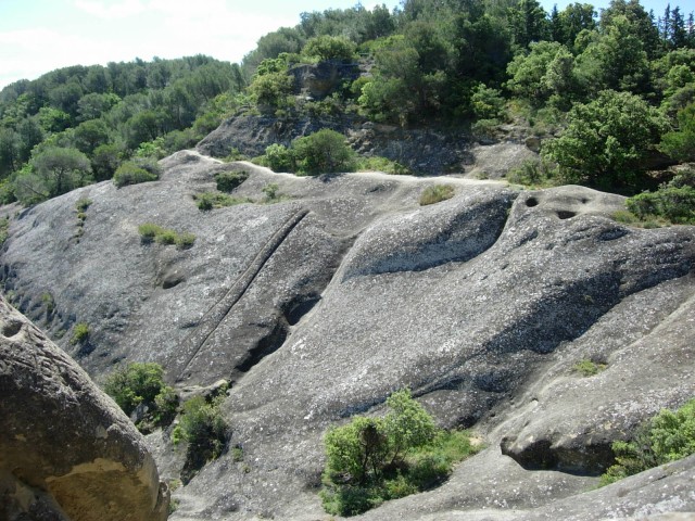 DSCN8418.jpg